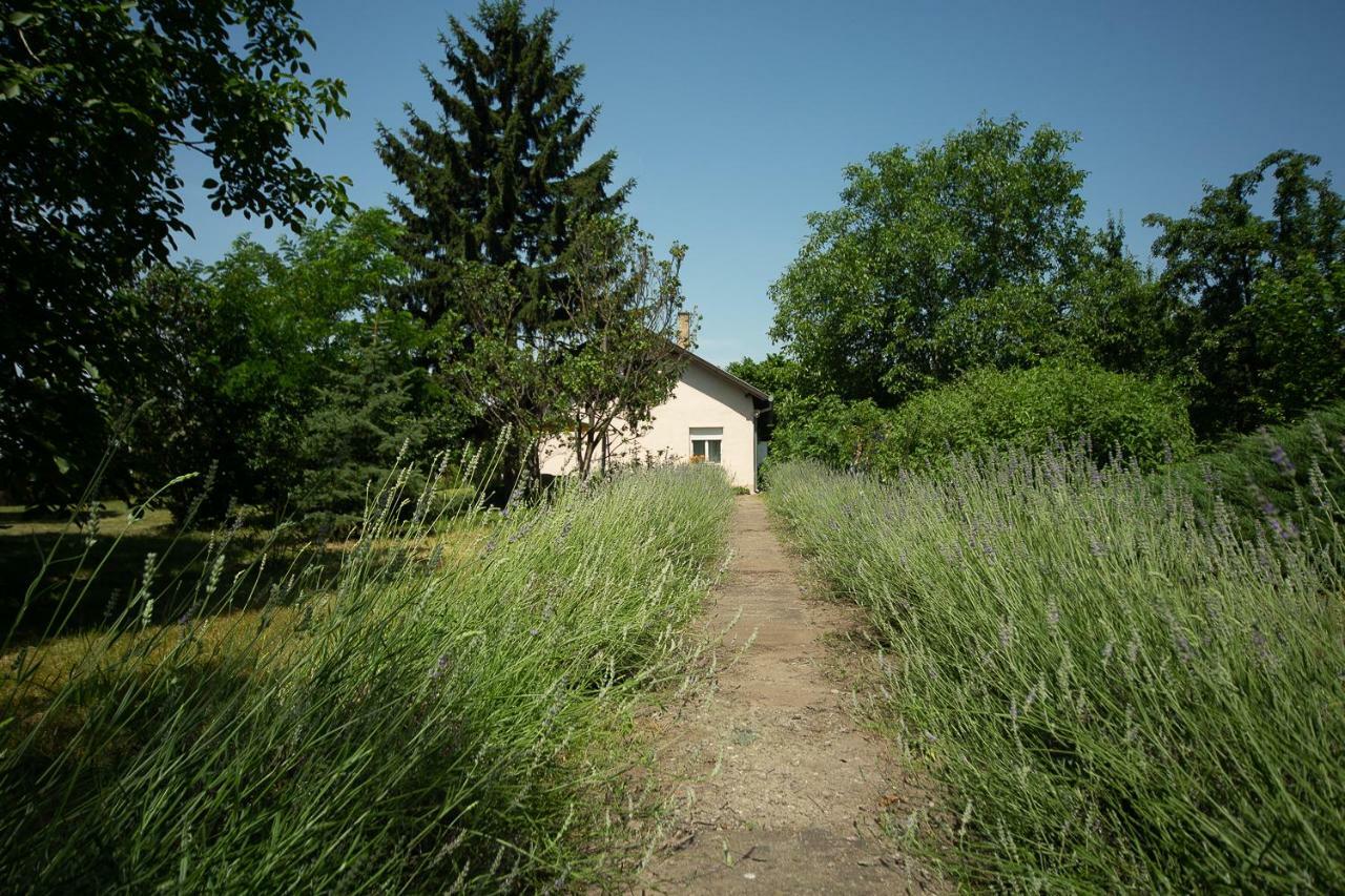 Part Apartman Palić Exterior foto